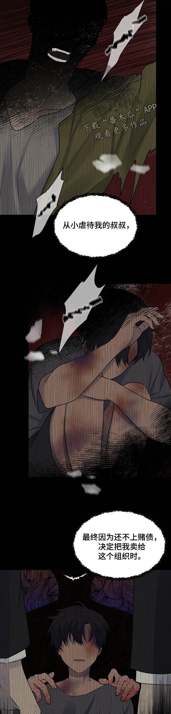 第24章：自愿
