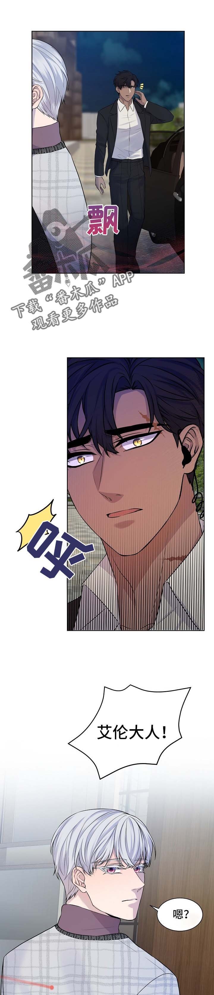 第26章：袭击