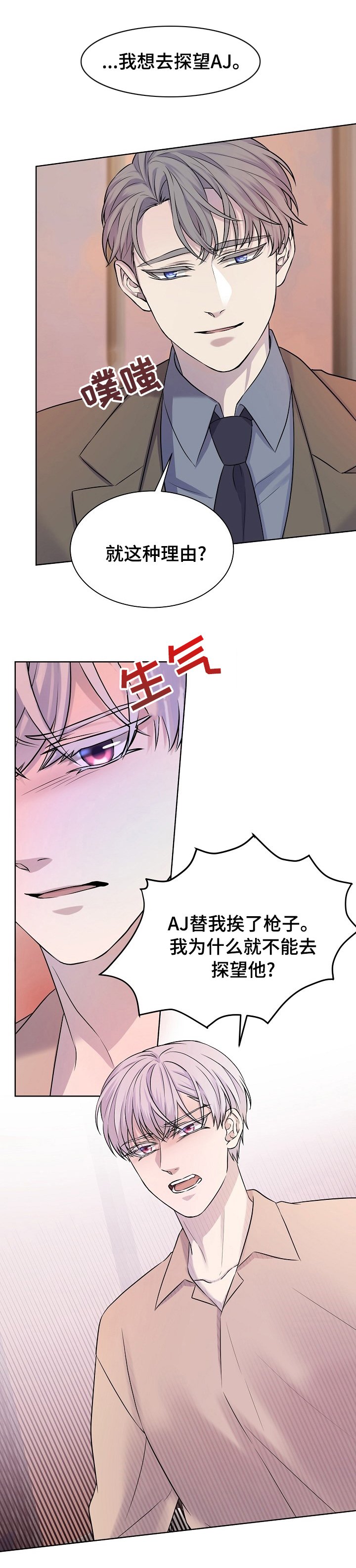 第28章：用途