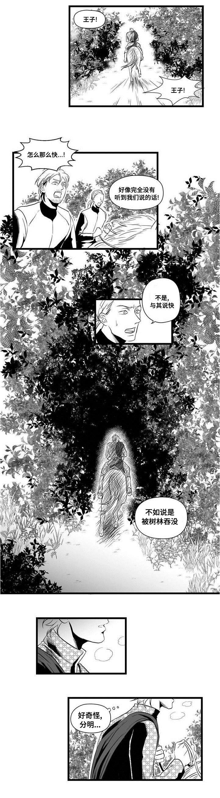 第1章：女巫