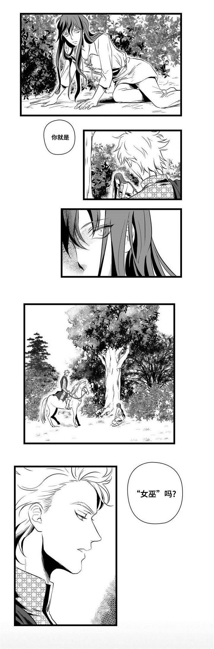 第1章：女巫