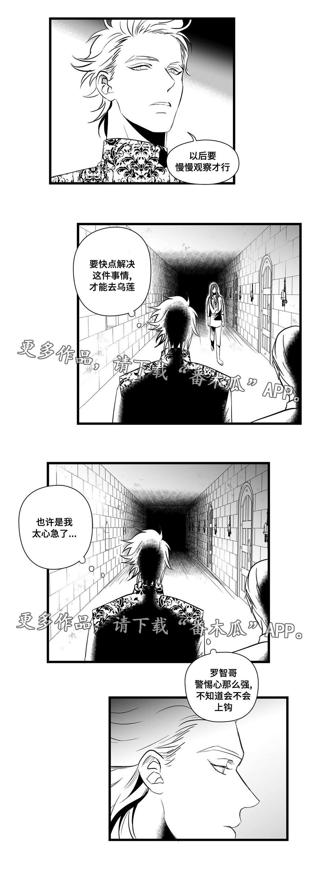 第20章：合作