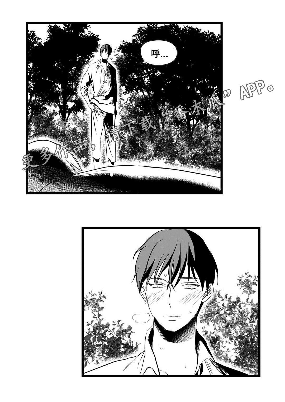 第20章：合作