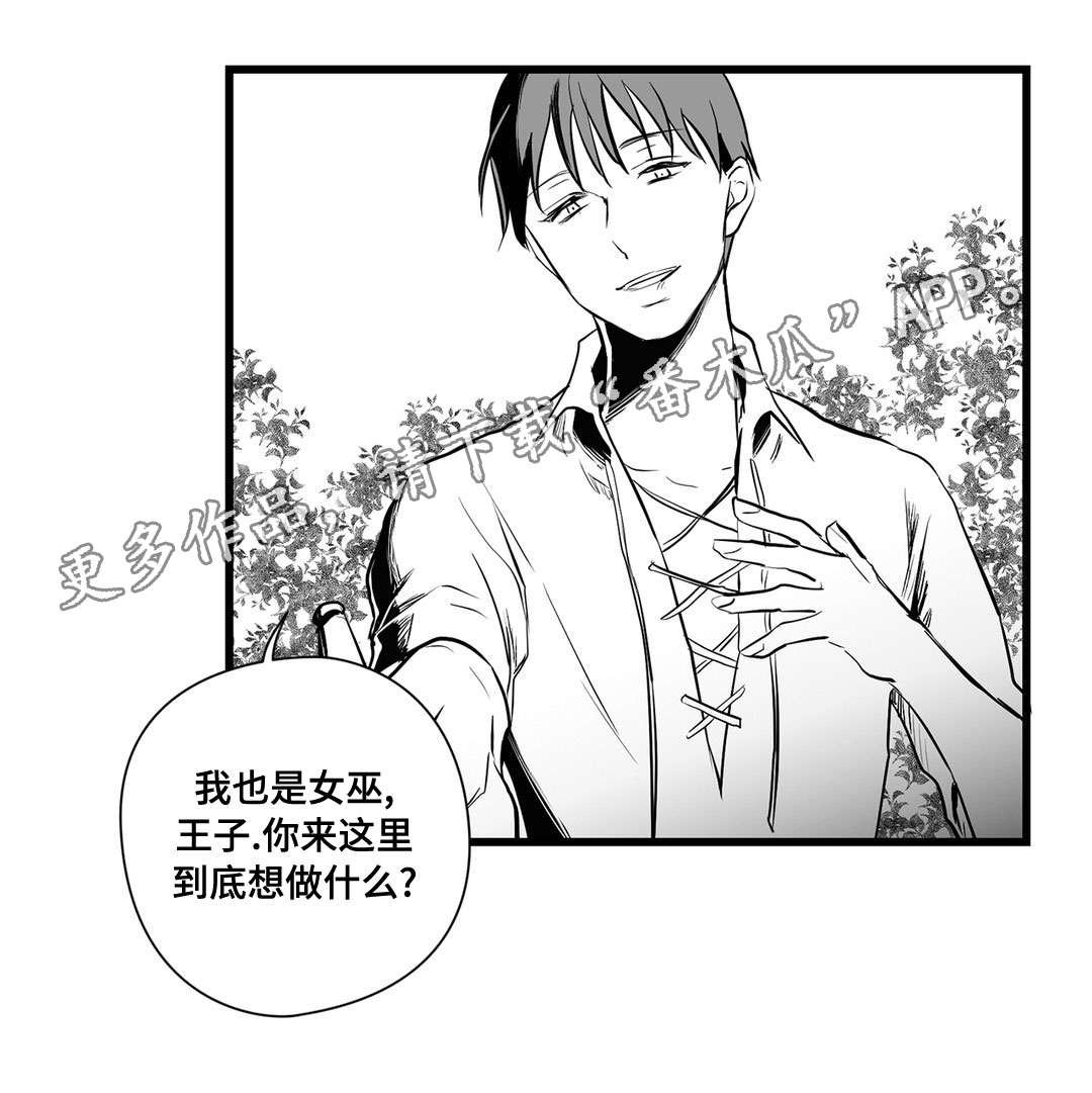 第23章：诡异