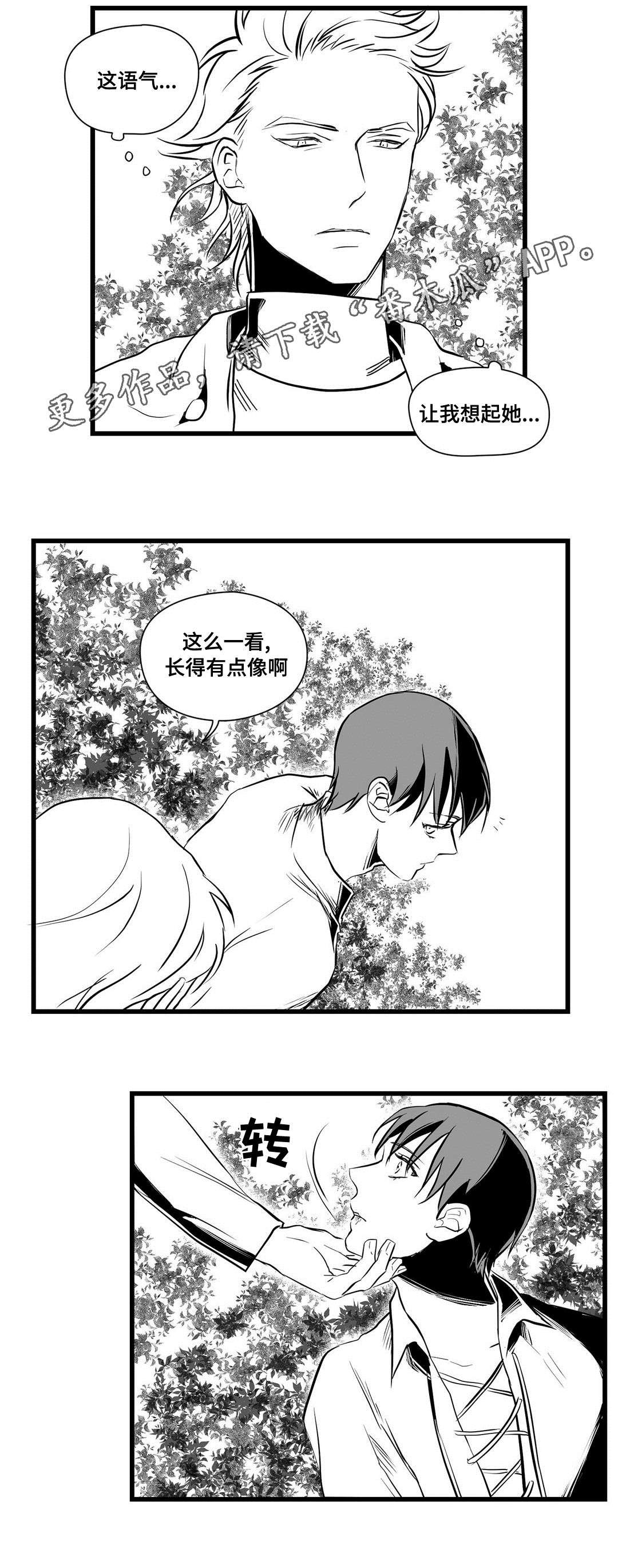 第27章：收获