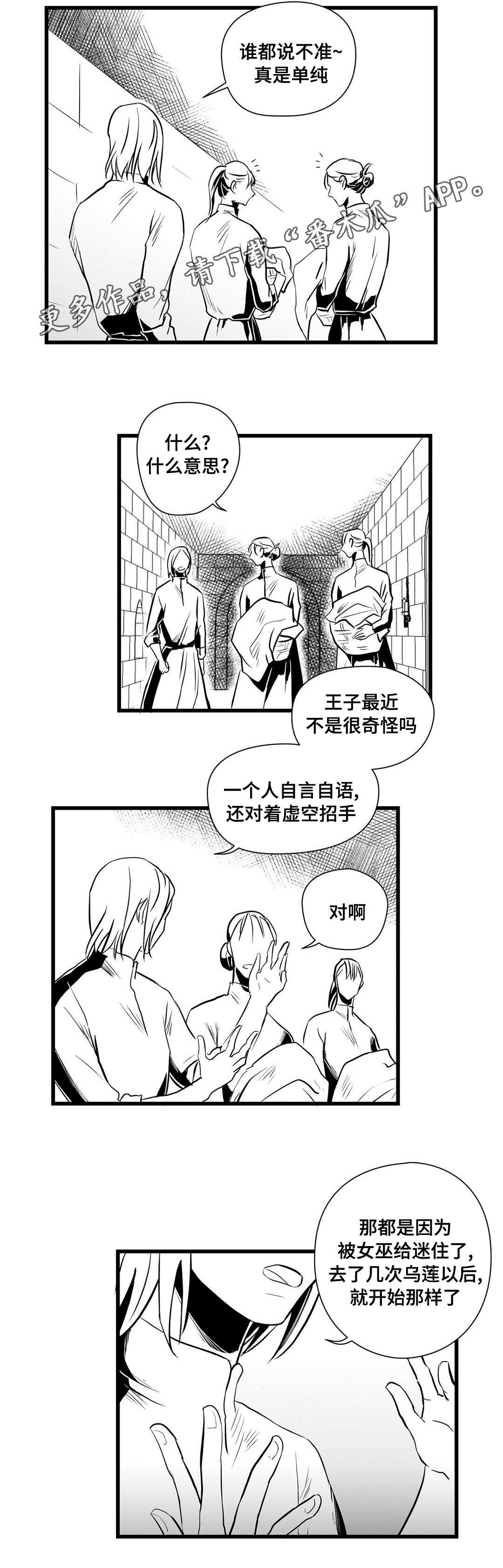 第31章：猜想
