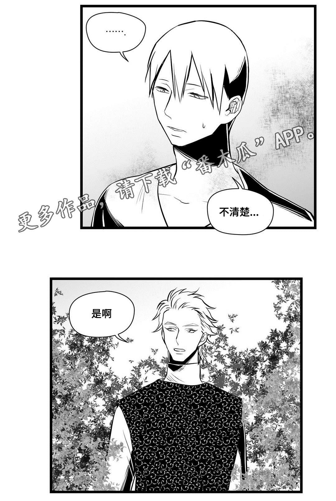 第31章：猜想