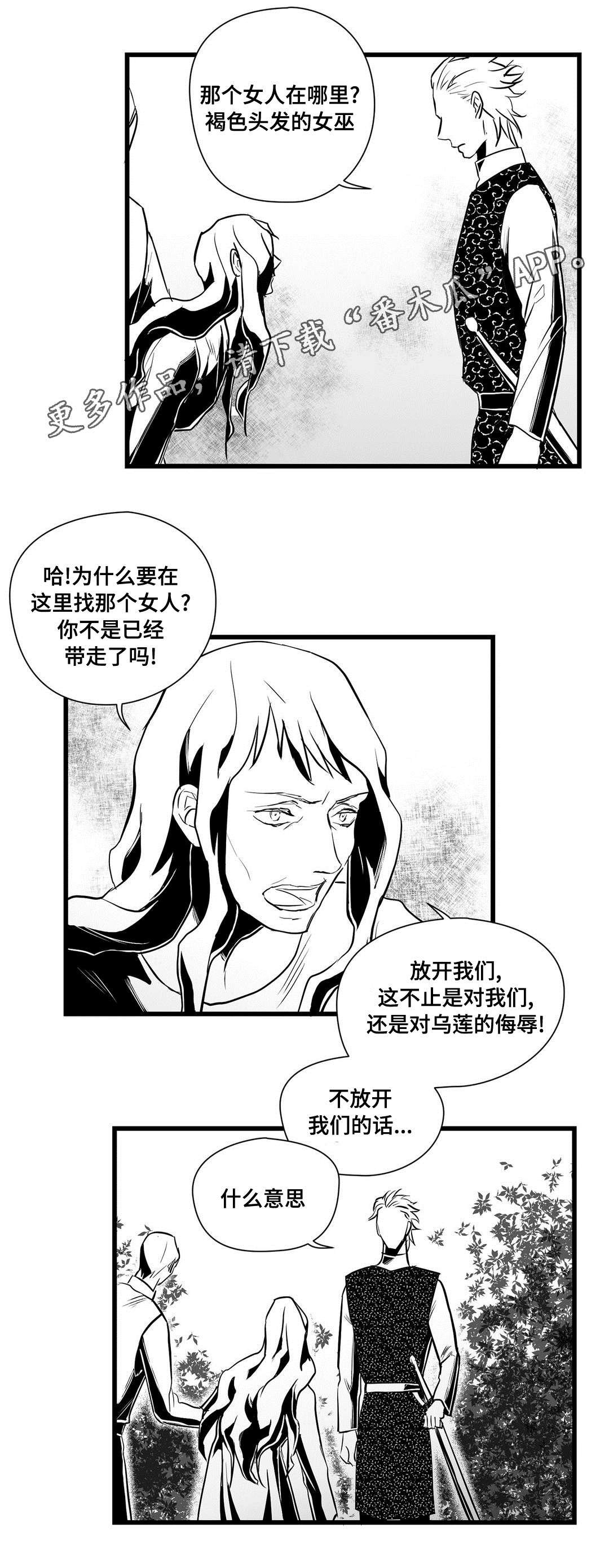 第31章：猜想