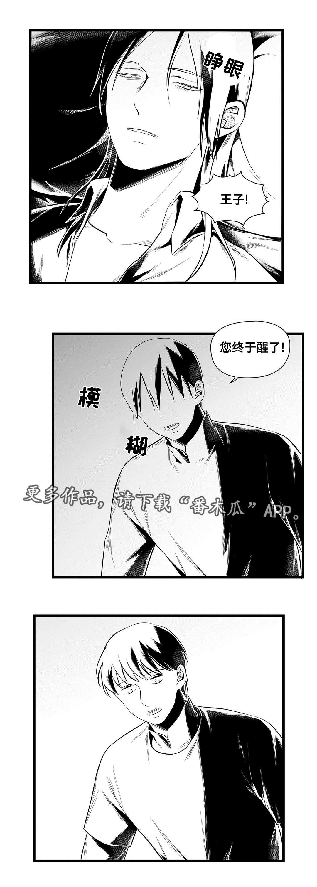 第39章：何去何从