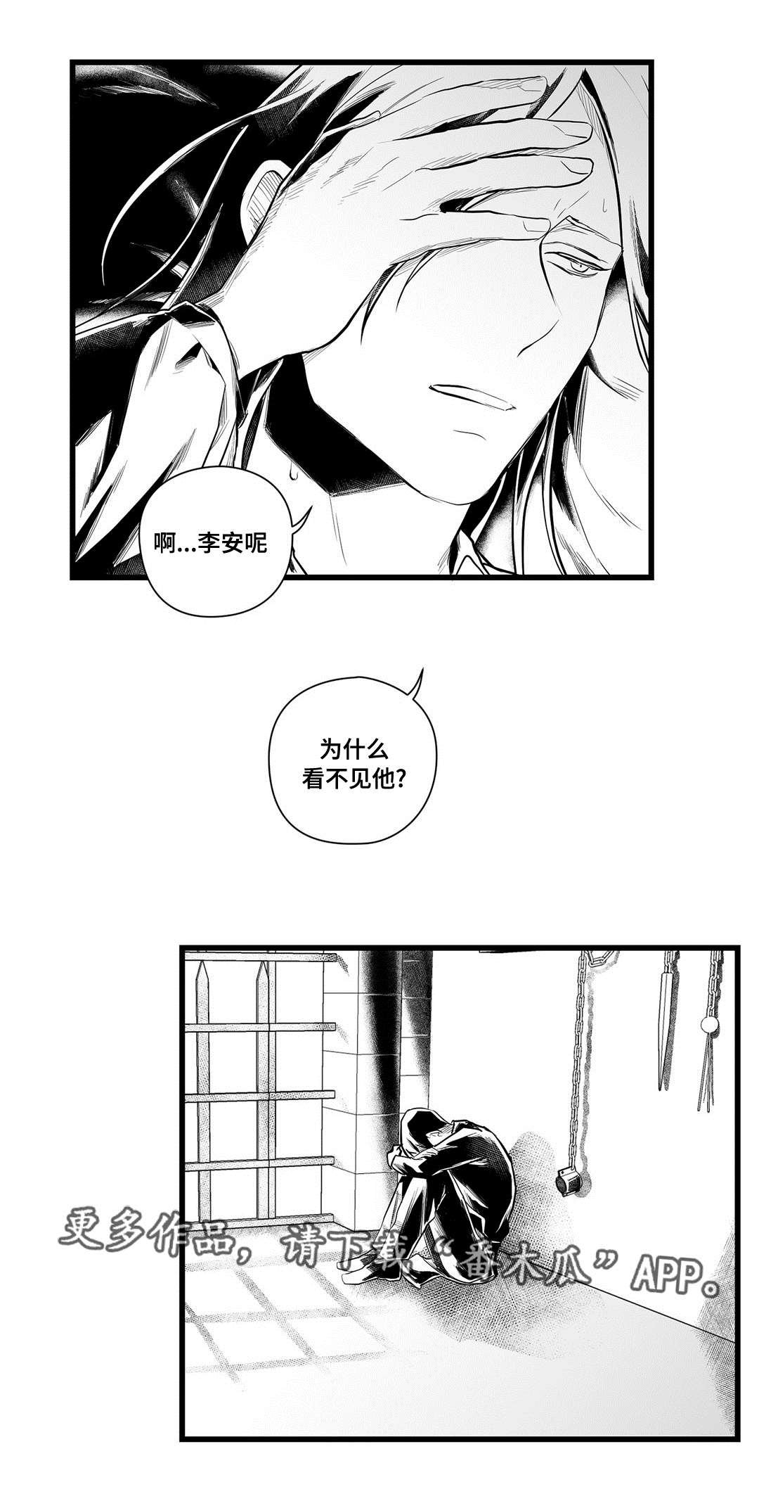 第39章：何去何从