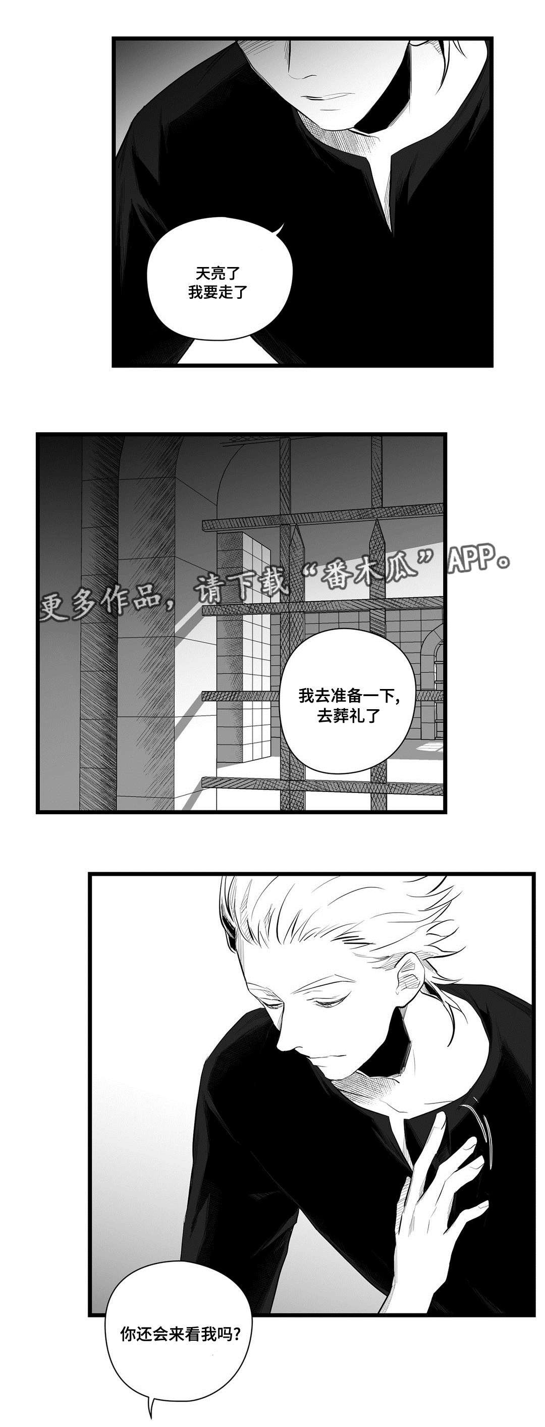 第39章：何去何从
