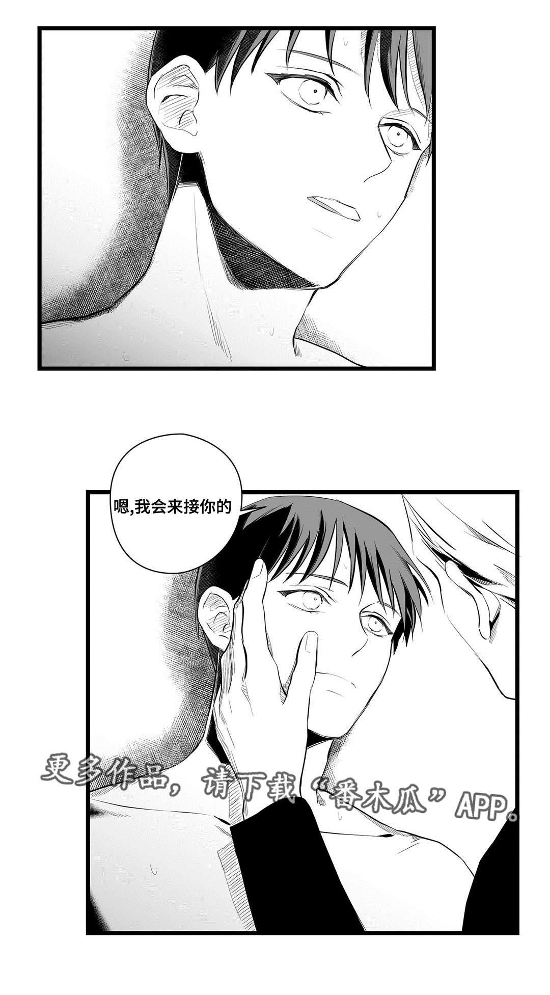 第39章：何去何从