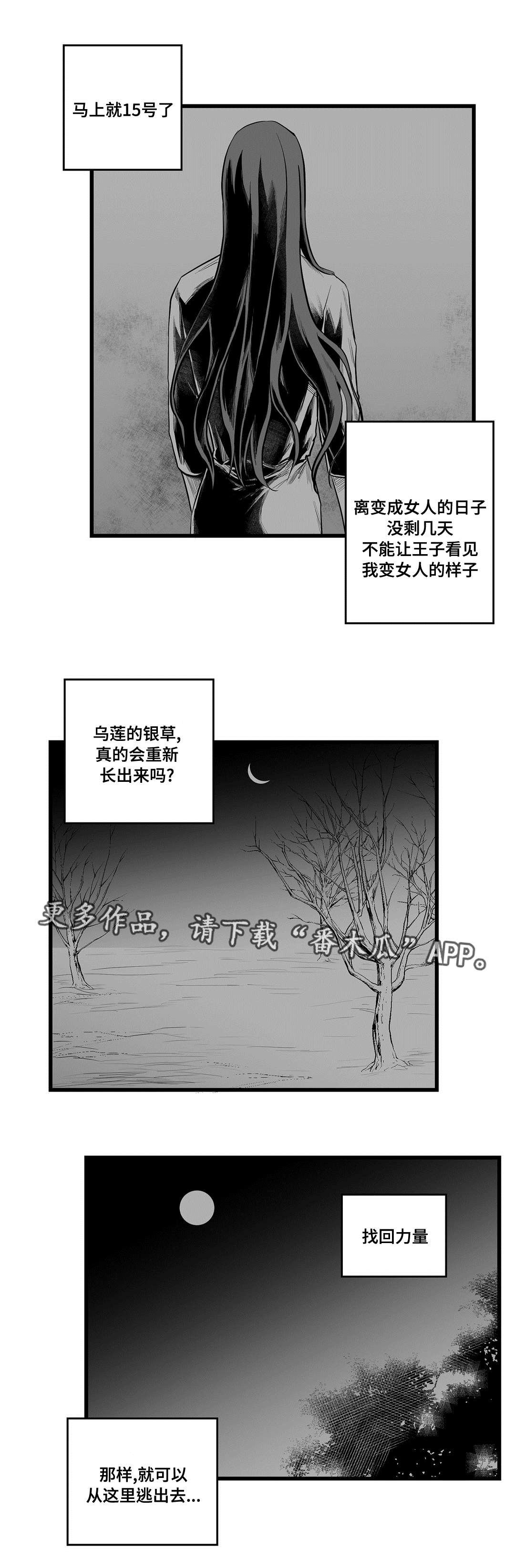 第39章：何去何从