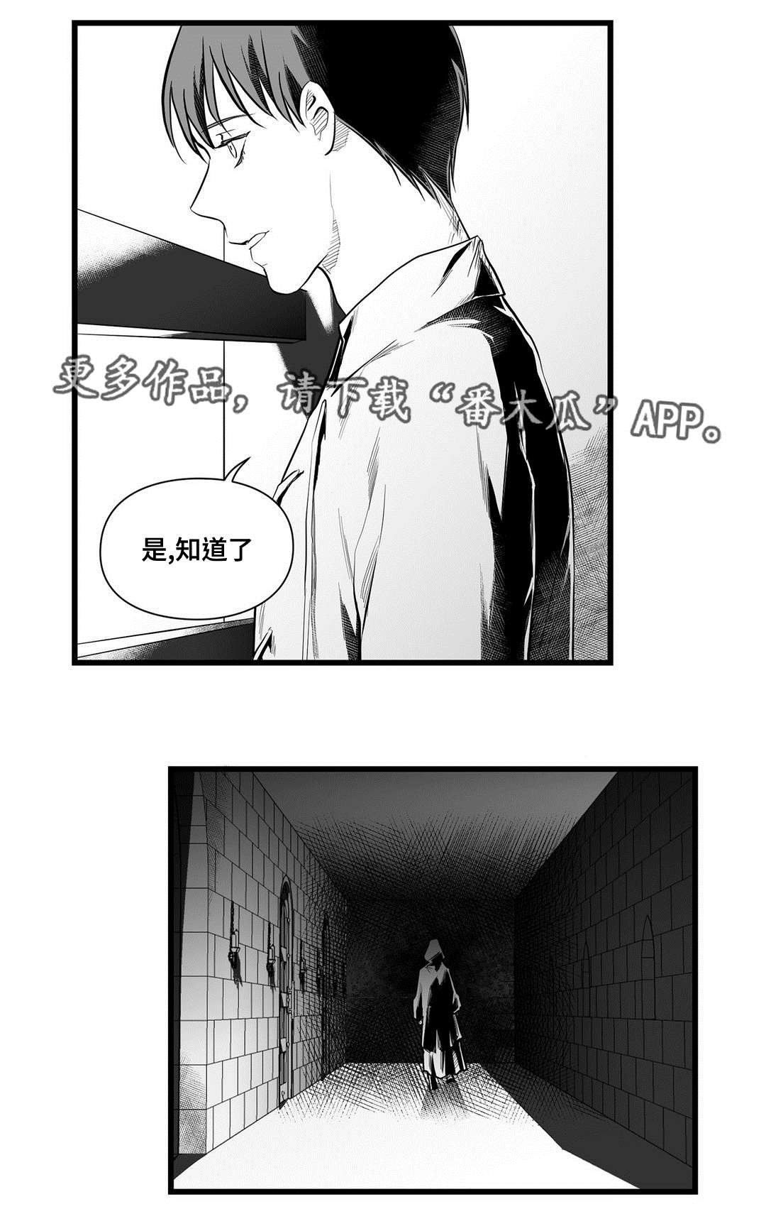 第44章：证言
