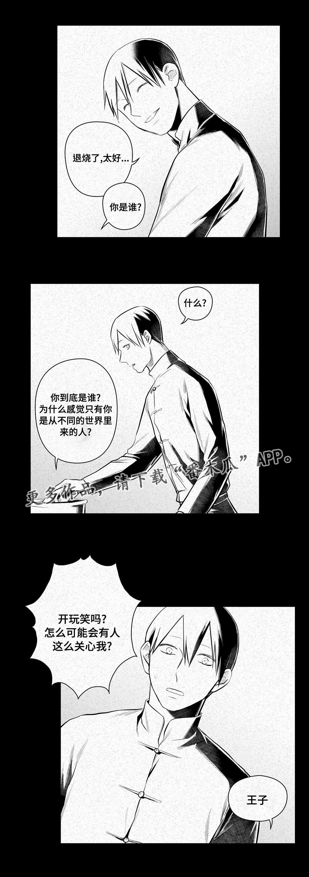 第44章：证言