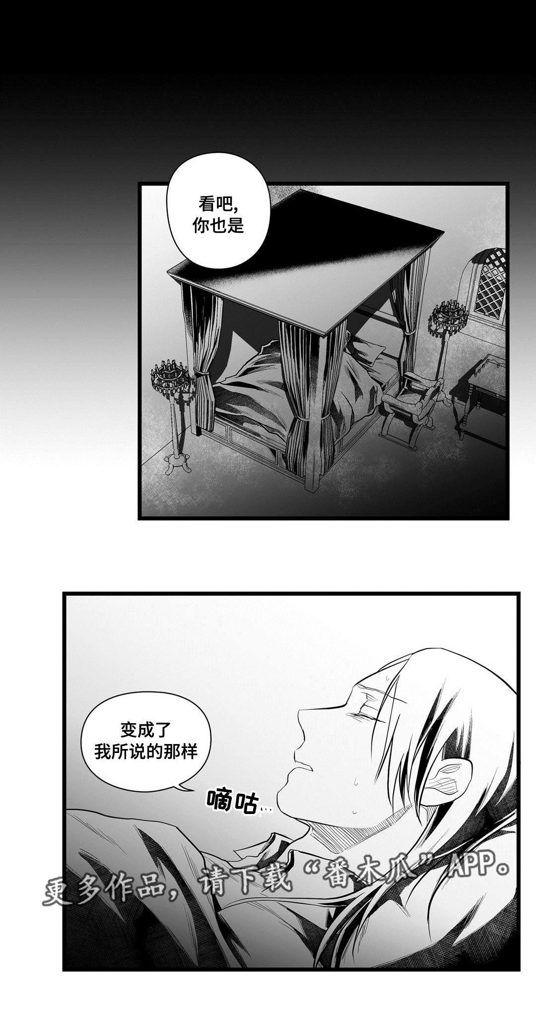 第44章：证言