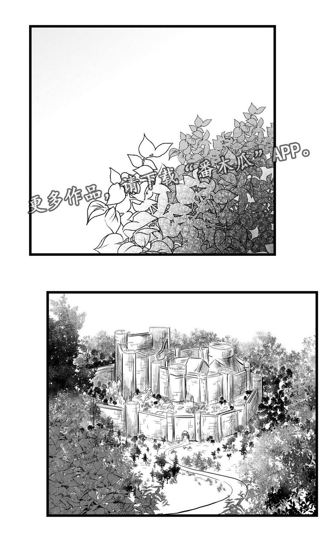 第45章：审判