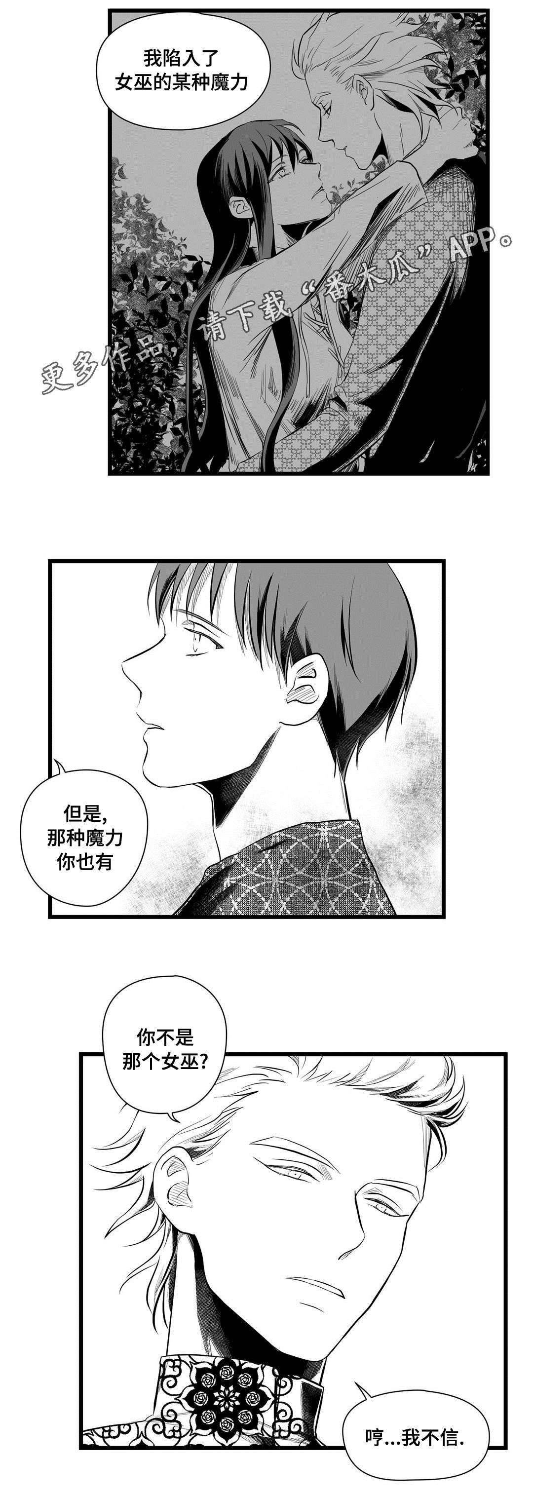 第49章：魔力