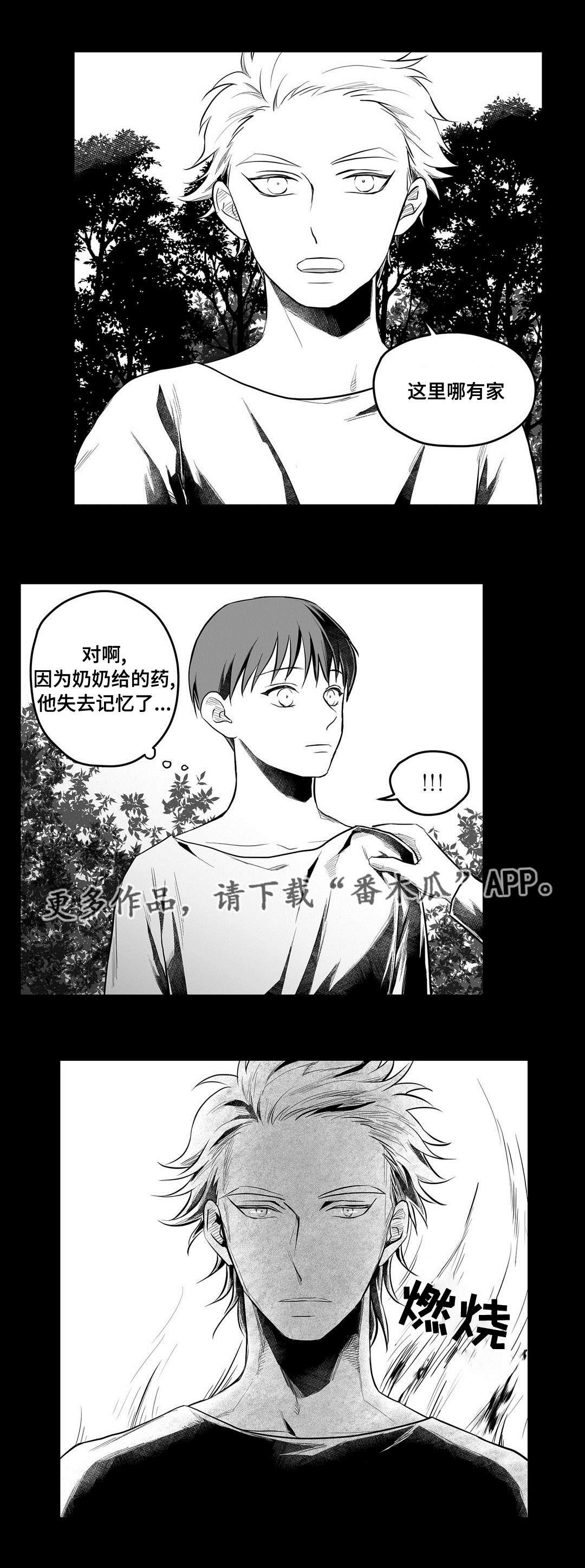 第51章：无法理解