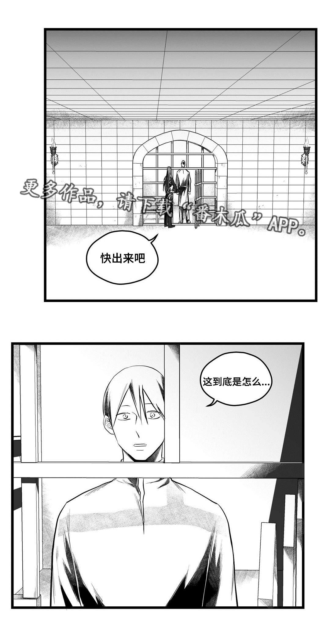 第52章：出逃