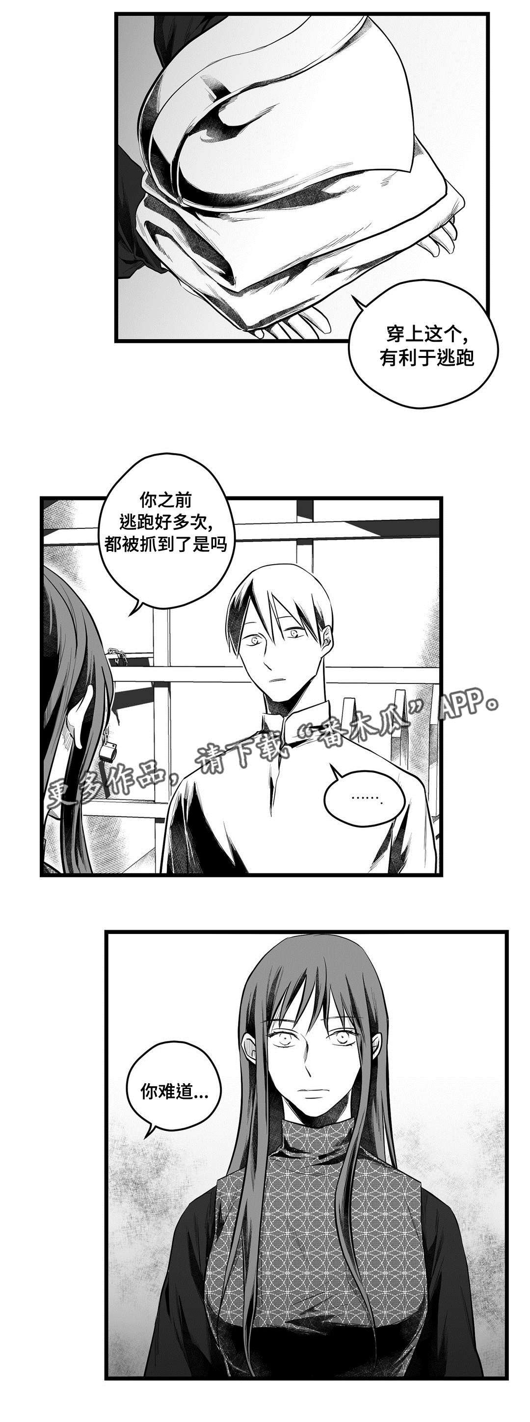 第52章：出逃