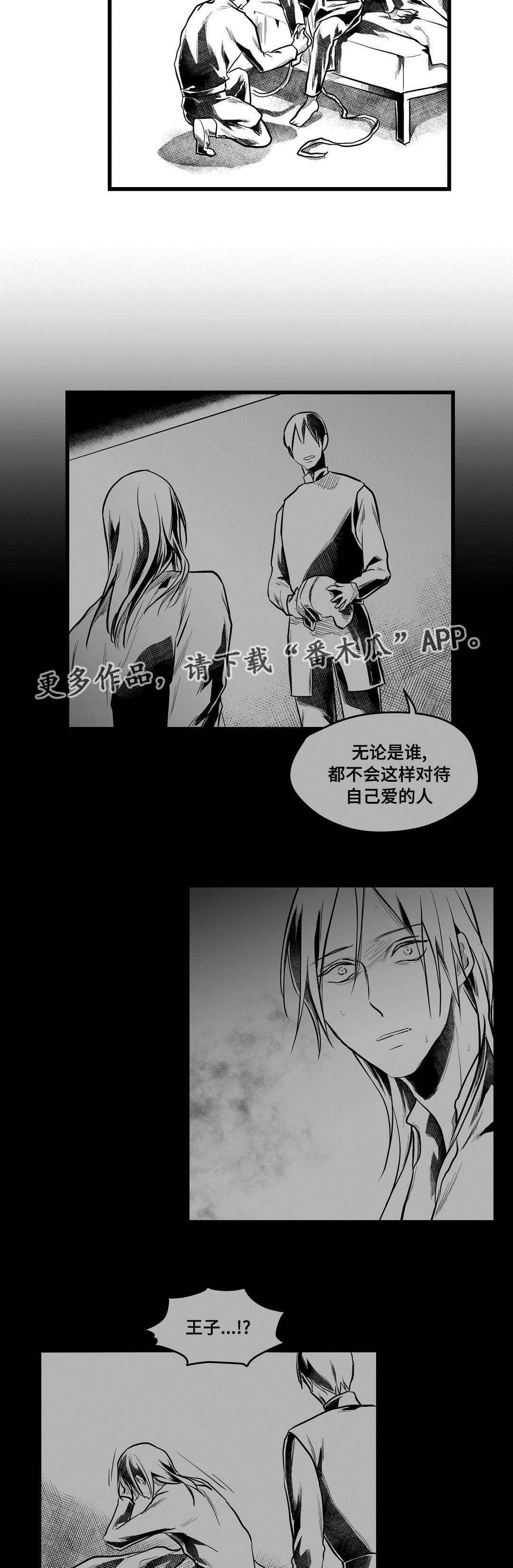 第56章：追寻