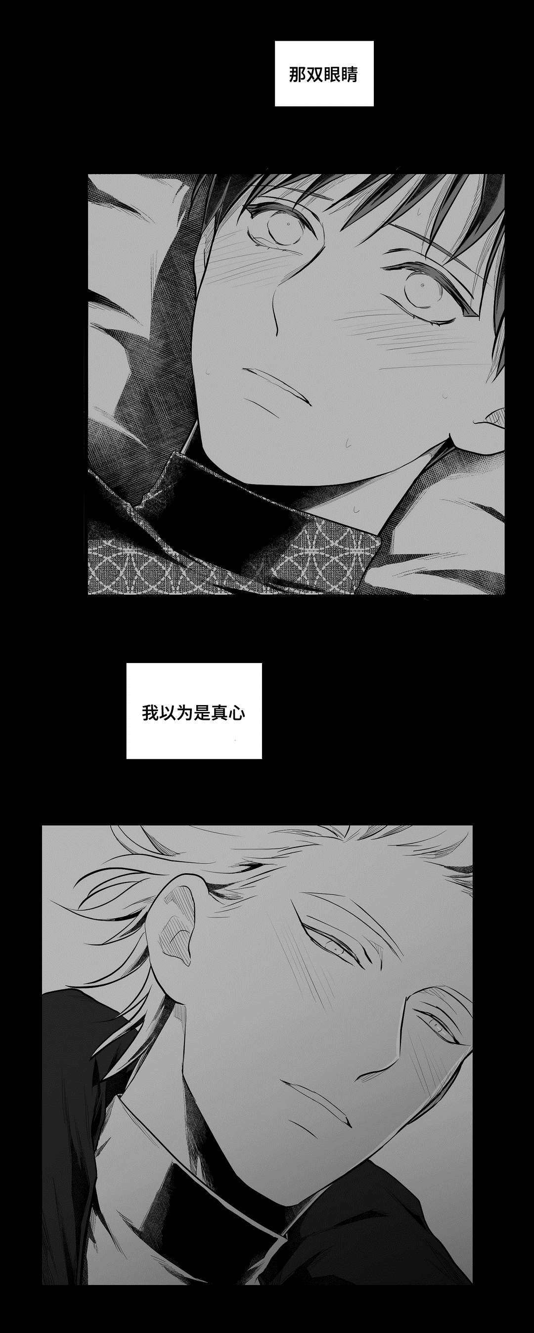 第56章：追寻
