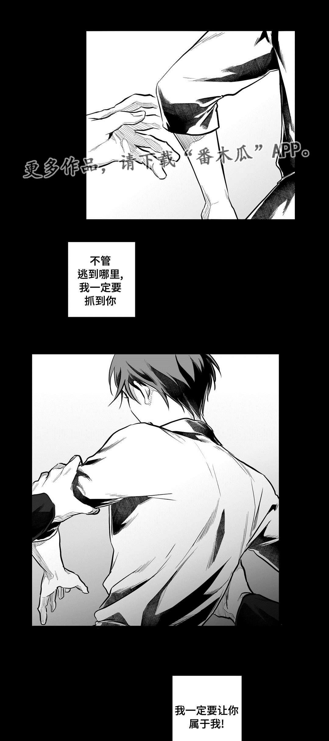 第56章：追寻