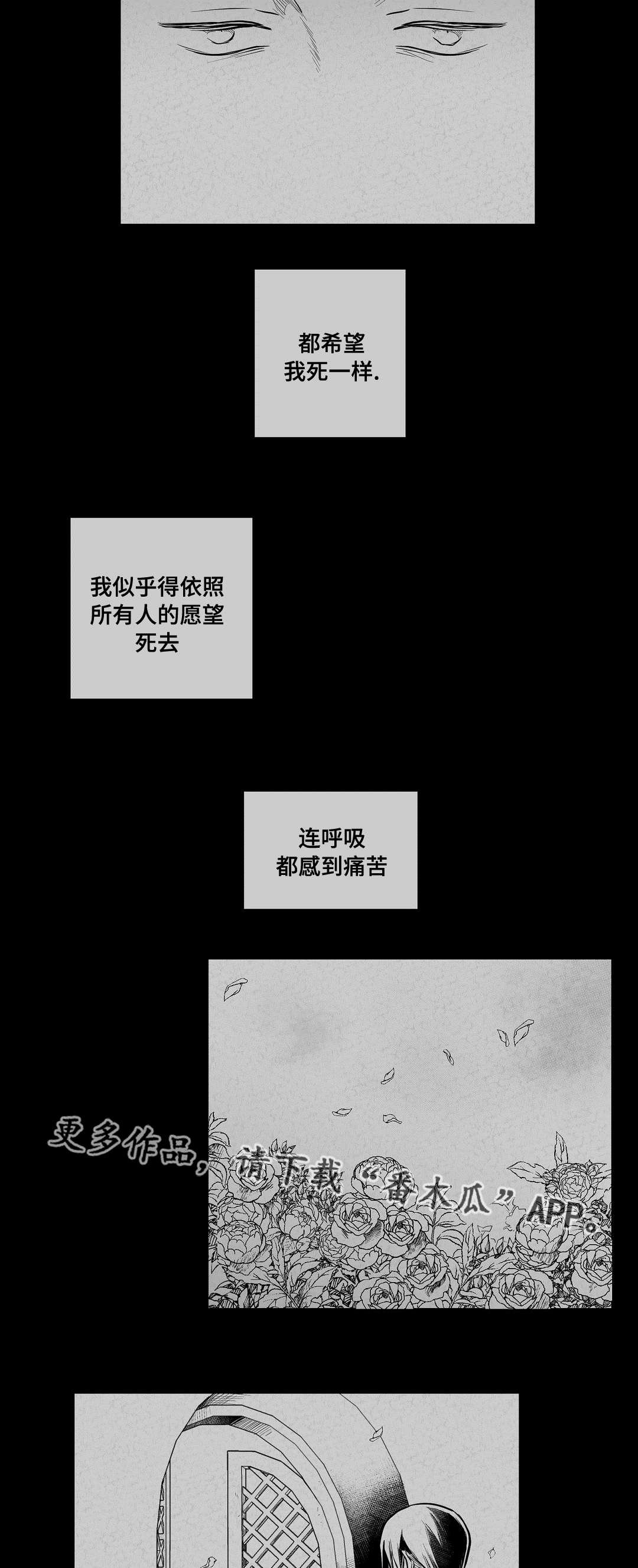 第61章：爱情