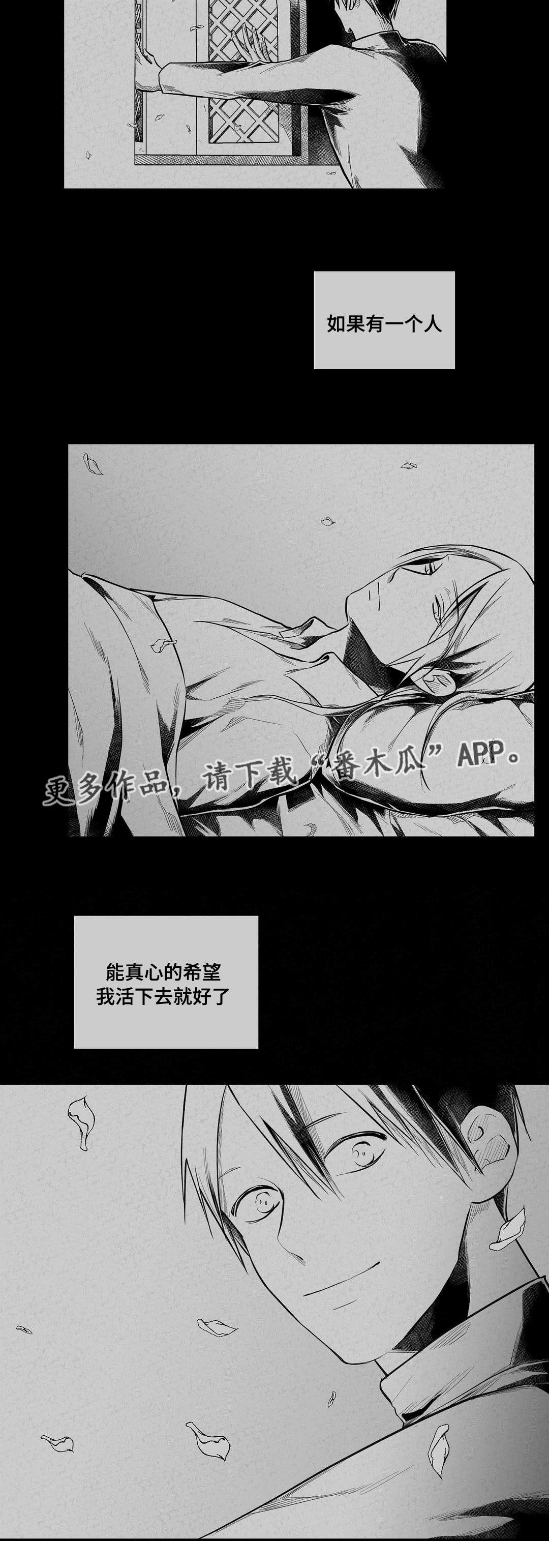 第61章：爱情