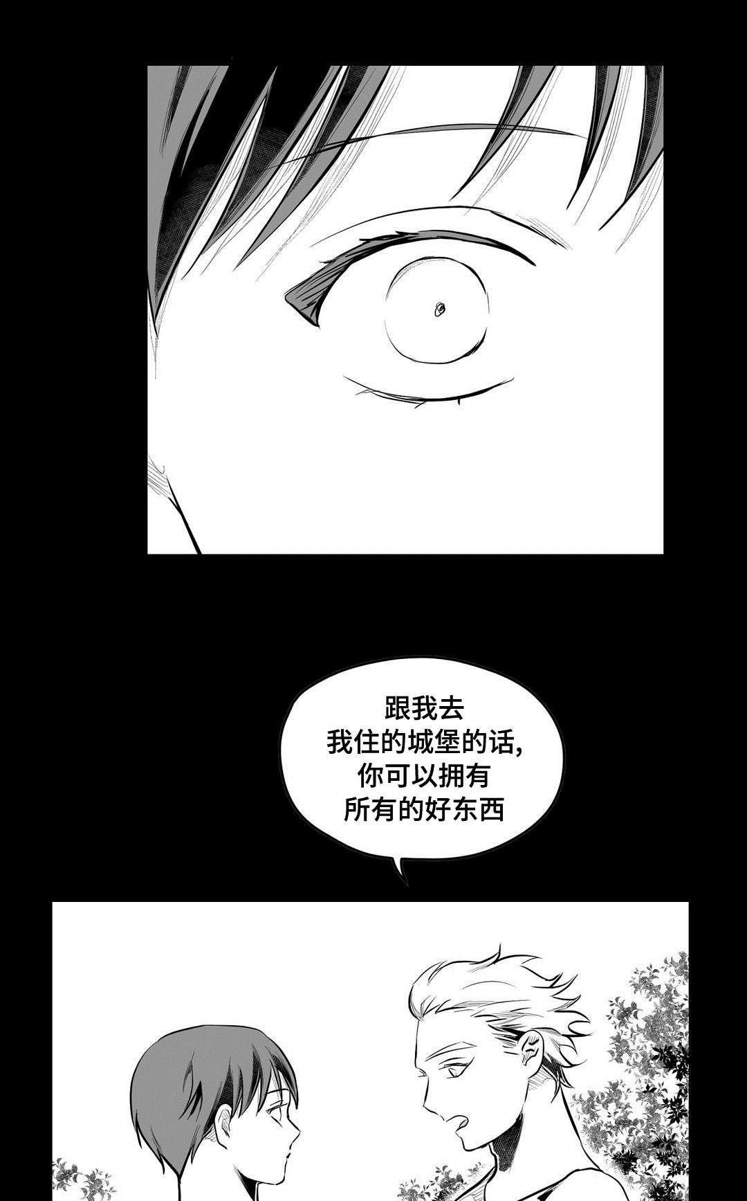 第66章：野心