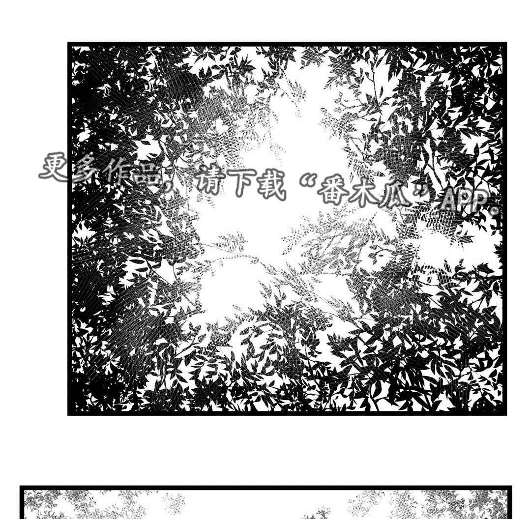 第68章：命运