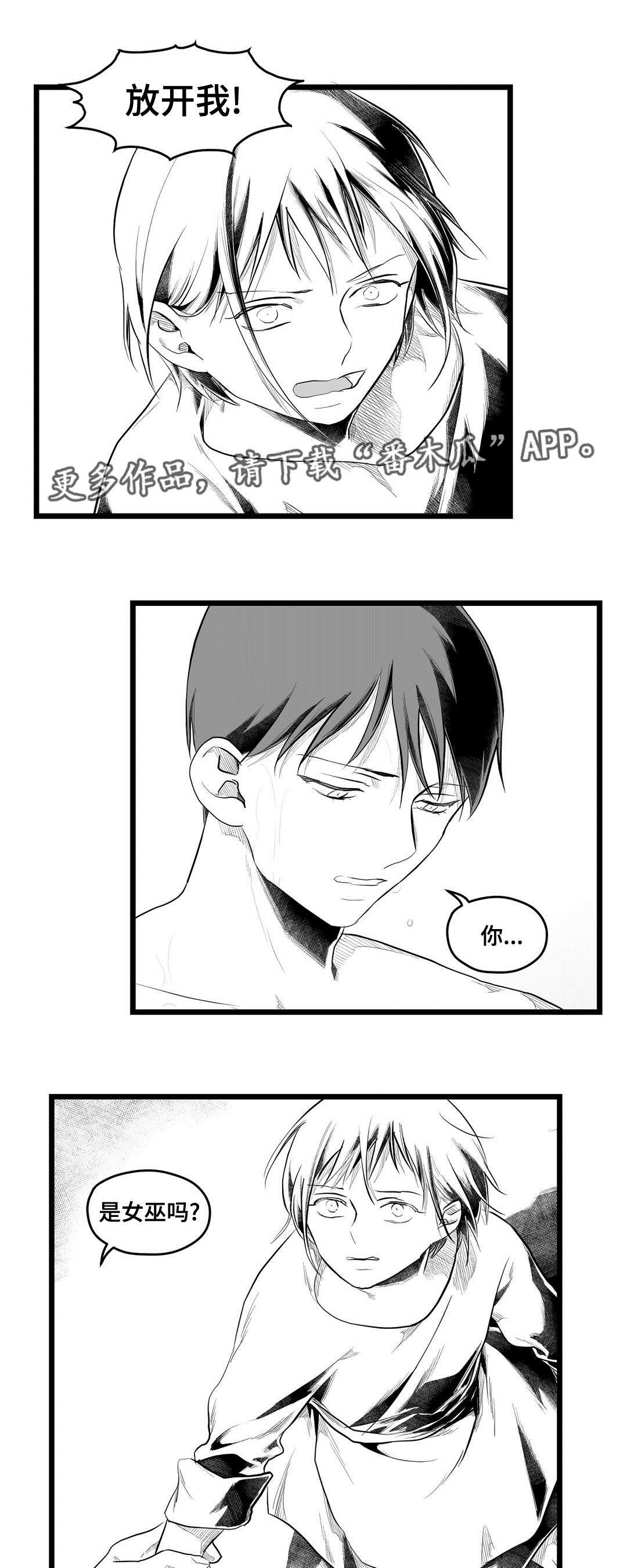 第74章：预见未来