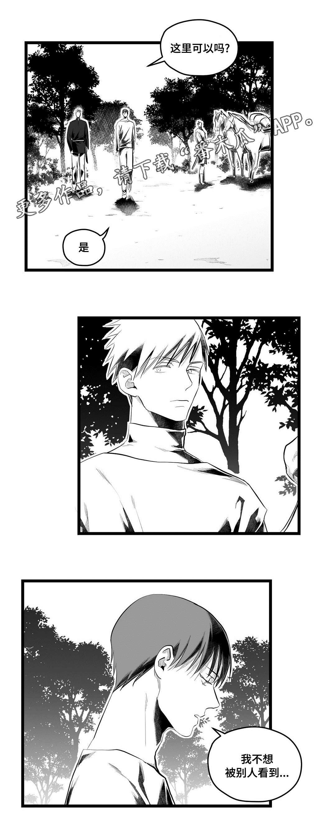 第81章：十五