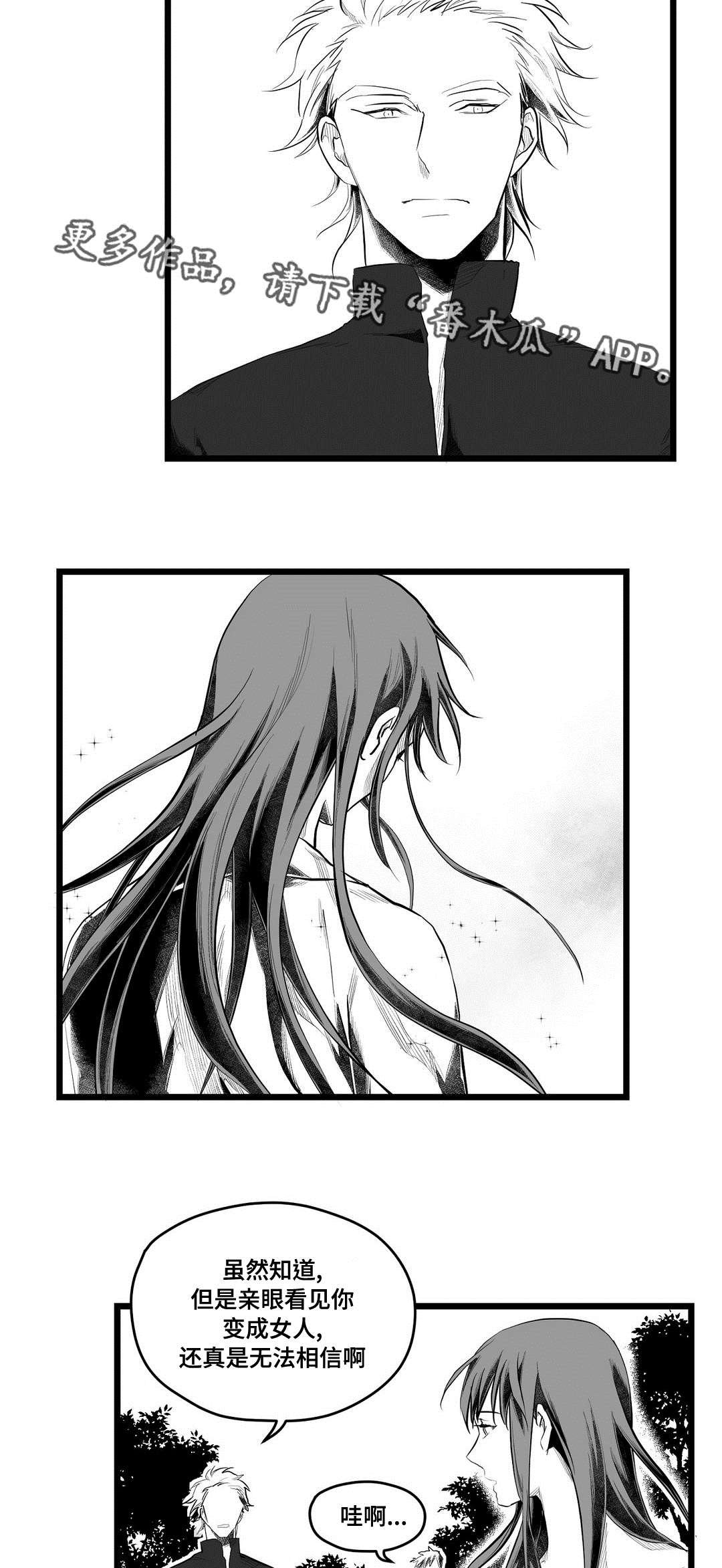 第81章：十五