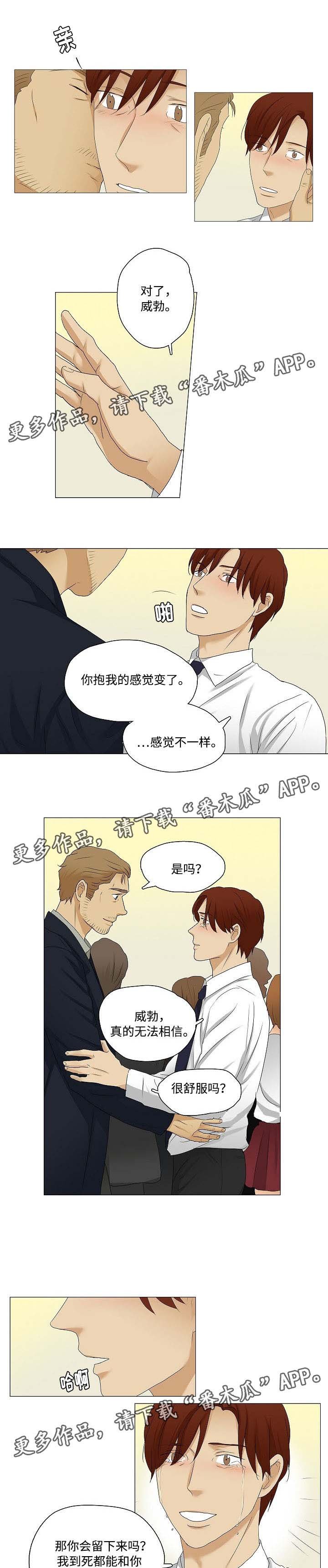 第31章：不一样的一面