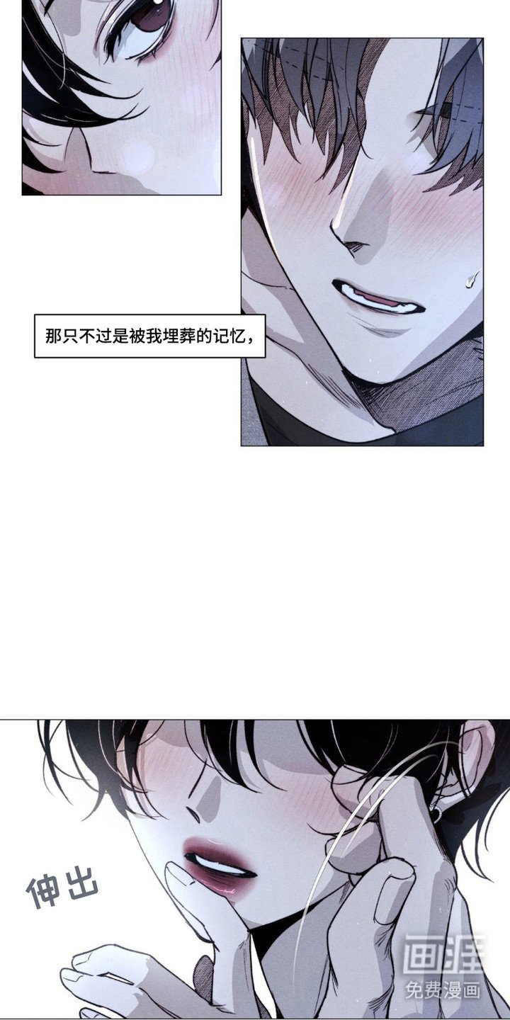 第6章：傻瓜
