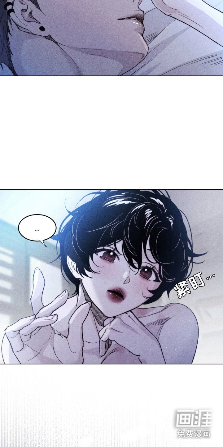 第6章：傻瓜