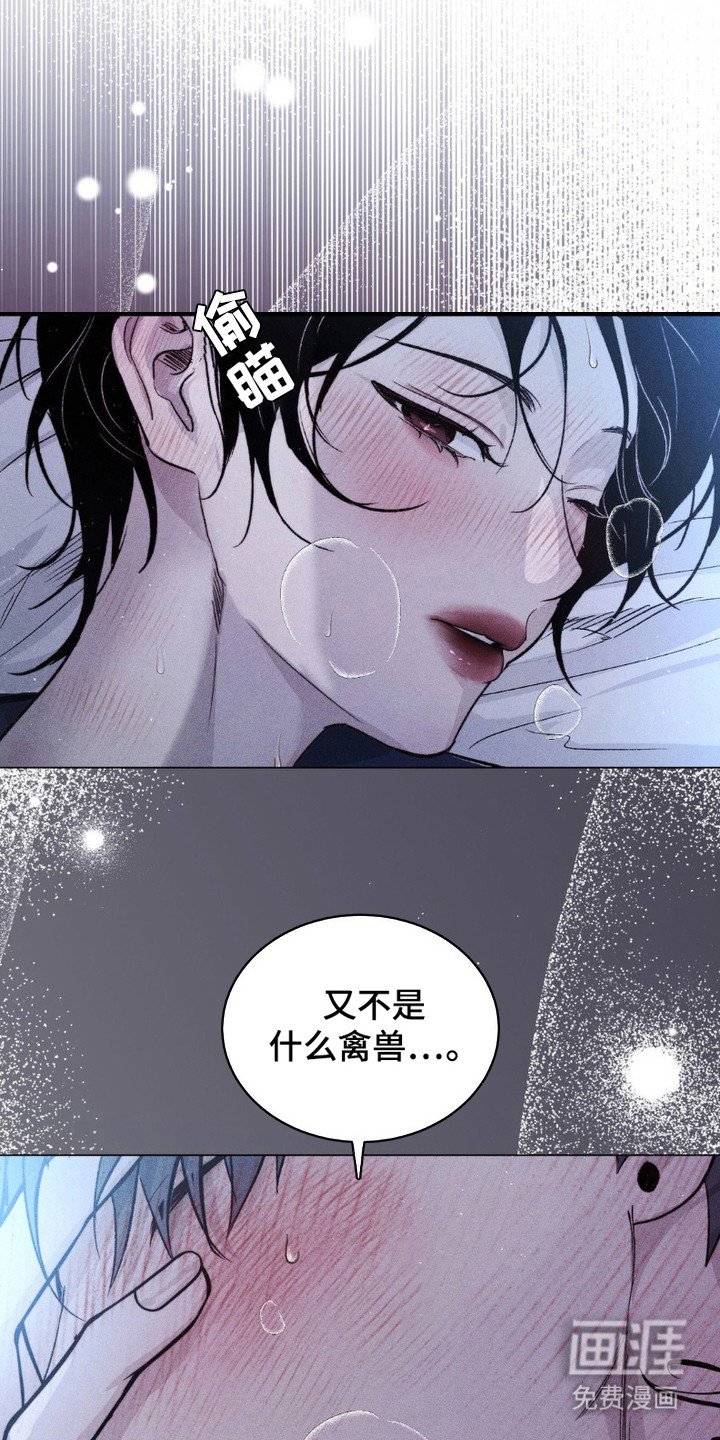 第6章：傻瓜