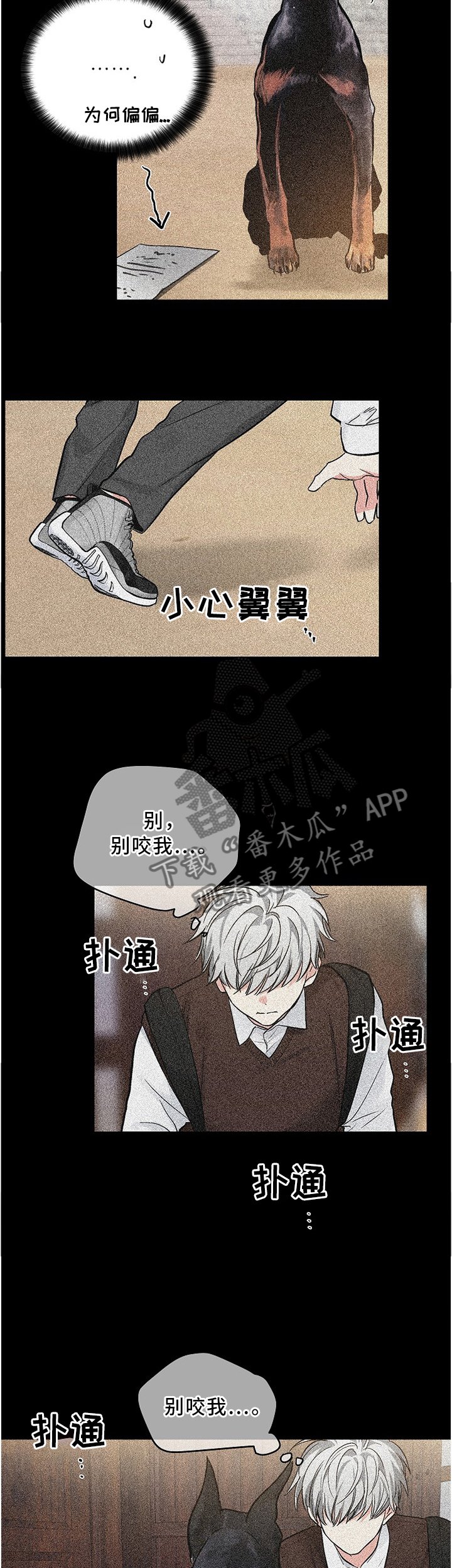 第103章：【外传】命运的伴侣