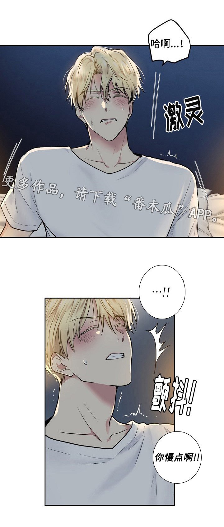 第16章：尝试？