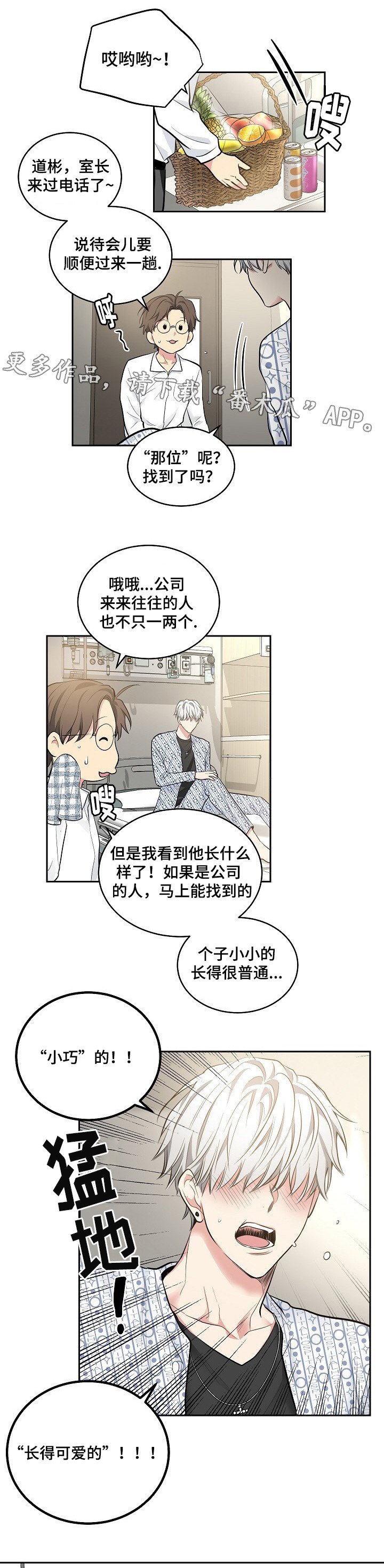 第22章：软件的由来
