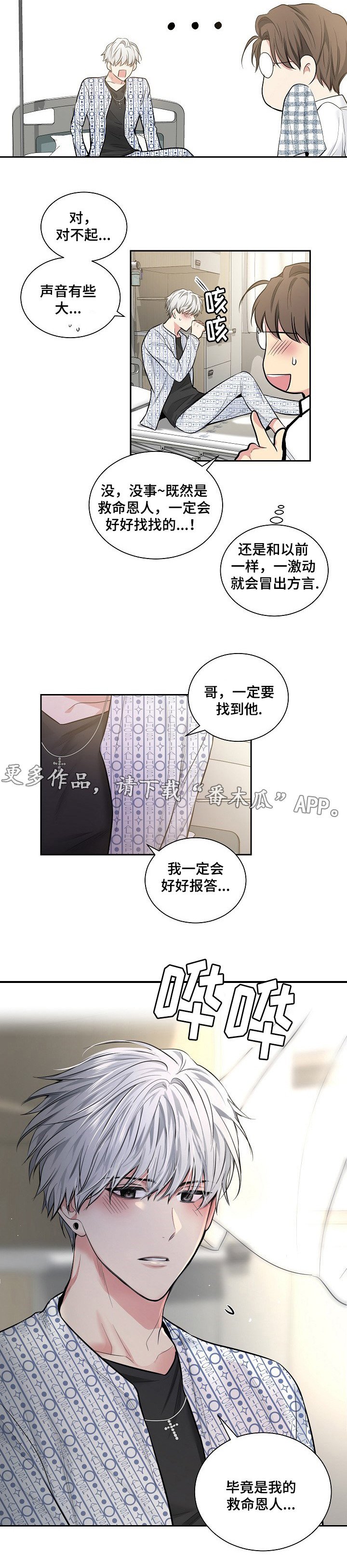 第22章：软件的由来