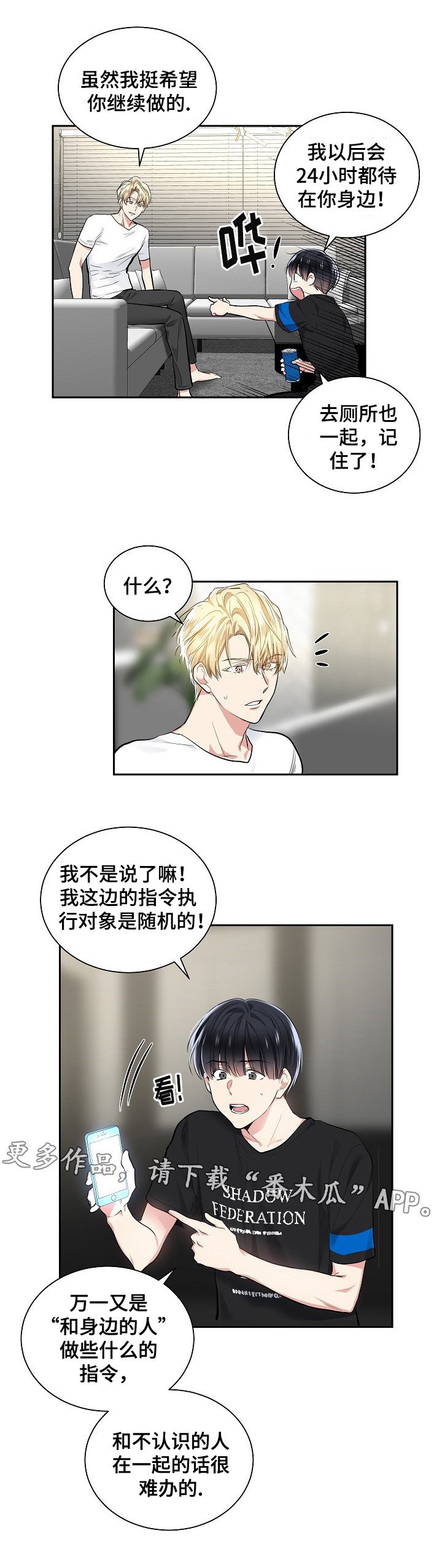 第22章：软件的由来