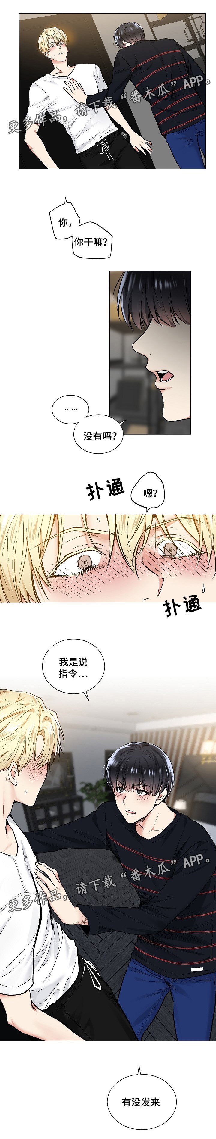 第42章：没有指令吗