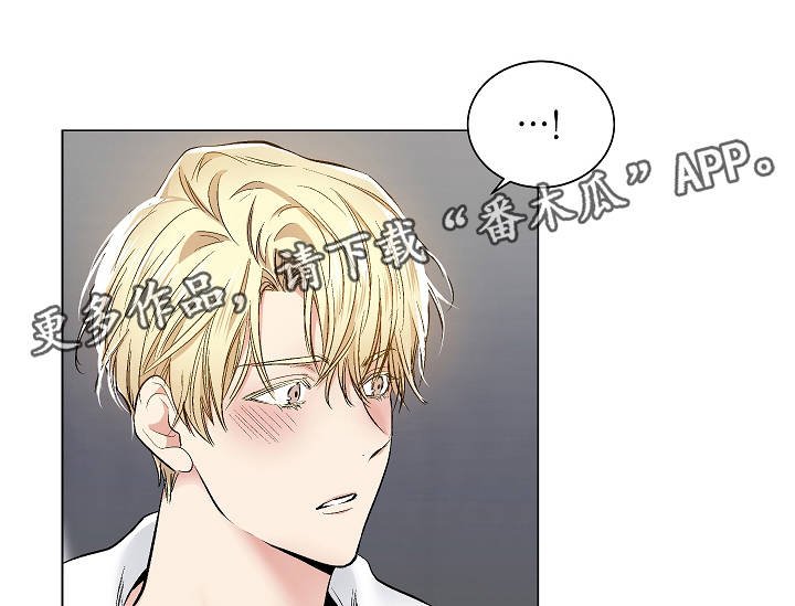 第46章：特殊关系