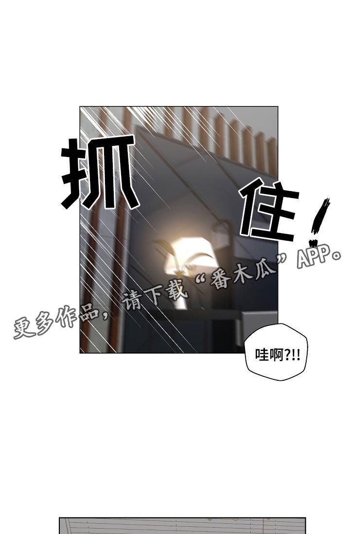 第46章：特殊关系