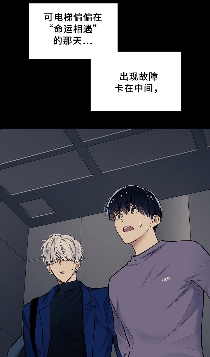 第65章：王子与老师