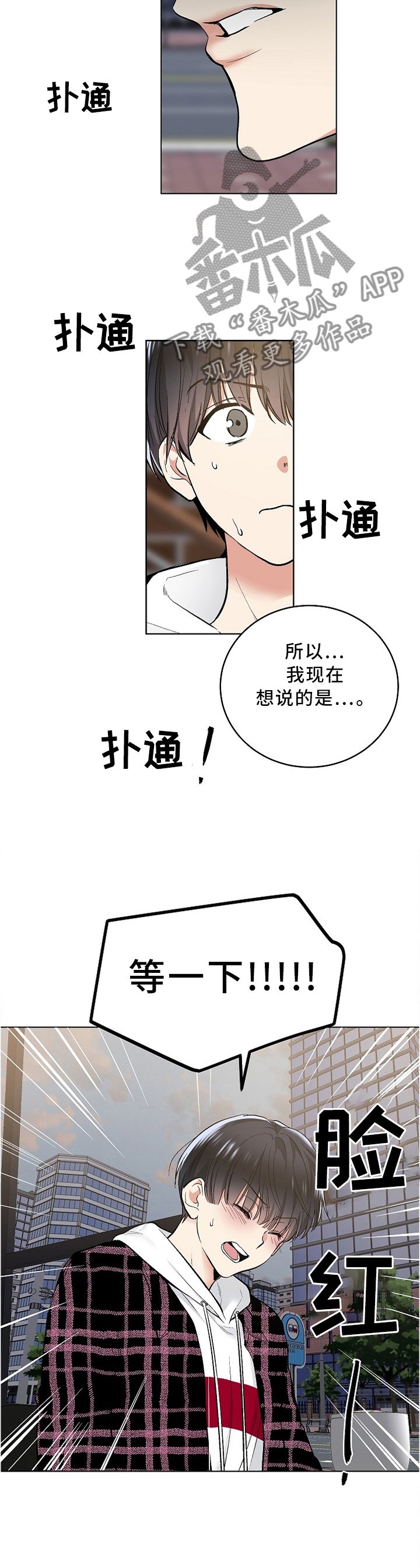 第79章：我说出口了