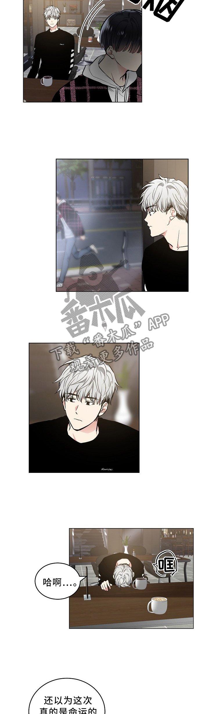 第81章：现在该怎么办